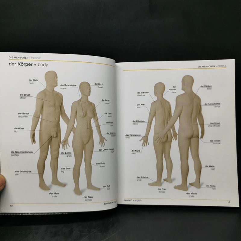 Bilingual Visual Dictionary German English รูปที่ 11
