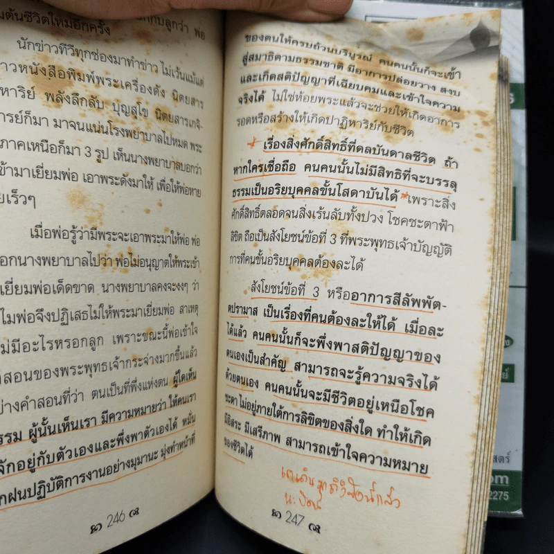 ก่อนพ่อตาย - ชาย กิตติคุณาภรณ์ รูปที่ 12