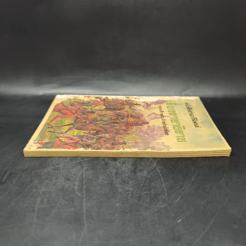 หนังสืออ่านกวีนิพนธ์ เรื่องราชาธิราช ตอนศึกเจ้าฝรั่งมังฆ้อง รูปที่ 5