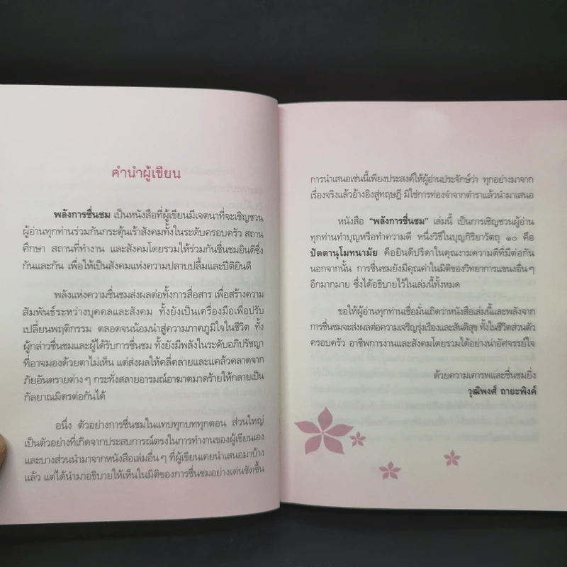 พลังการชื่นชม - วุฒิพงศ์ ถายะพิงค์ รูปที่ 9