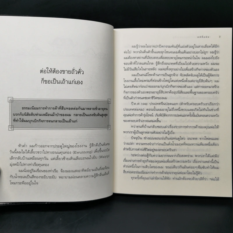 ความสำเร็จไม่มีสูตรสำเร็จ - หลีจืออิง รูปที่ 11