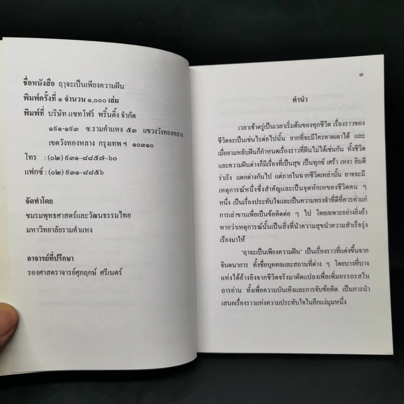 ฤาจะเป็นเพียงความฝัน รูปที่ 8