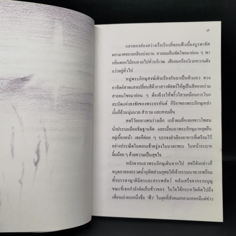 ฤาจะเป็นเพียงความฝัน รูปที่ 9