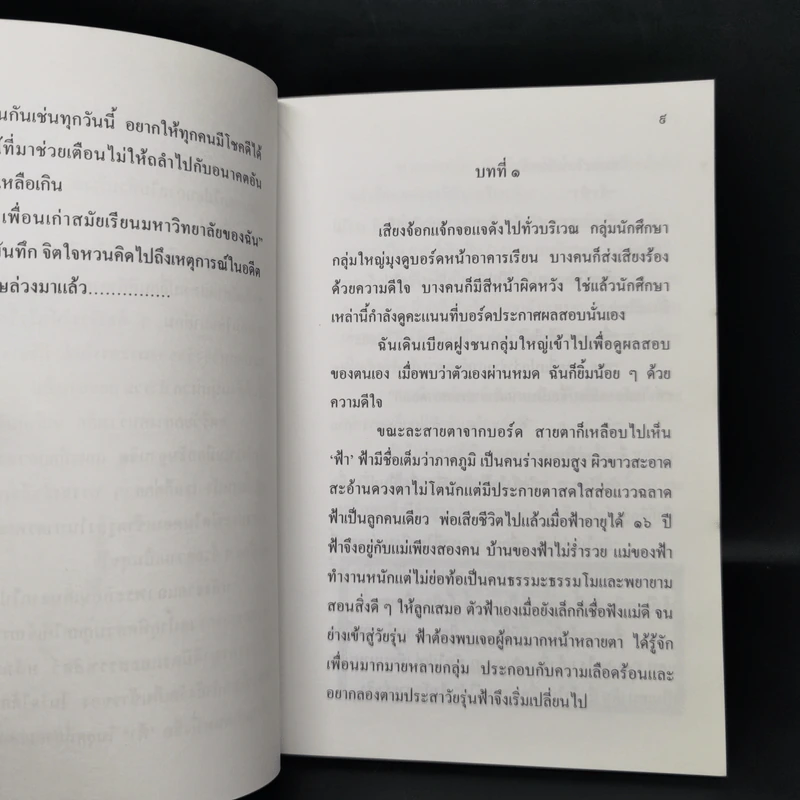 ฤาจะเป็นเพียงความฝัน รูปที่ 10