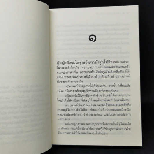 เจ้าสาวลายพยัคฆ์ - ดวงตะวัน รูปที่ 9