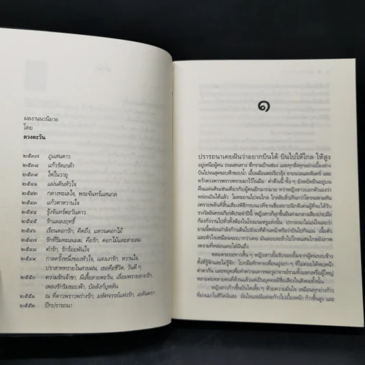ปีกปรารถนา - ดวงตะวัน รูปที่ 9