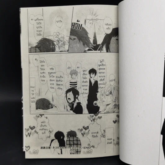 การ์ตูนวาย ของเล่นในหอพักชาย เล่ม 1-6 รูปที่ 9