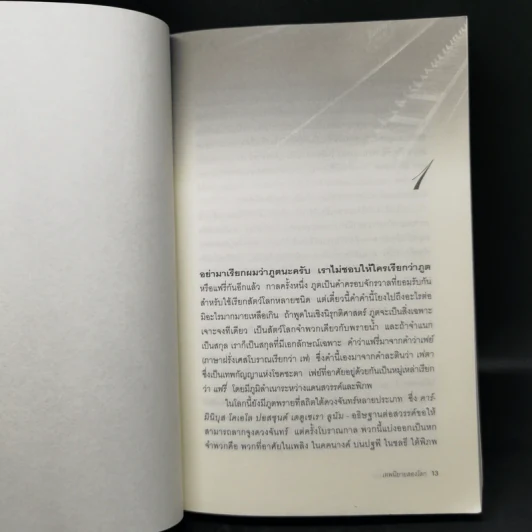 เทพนิยายสองโลก The Stolen Child - Keith Donohue รูปที่ 10