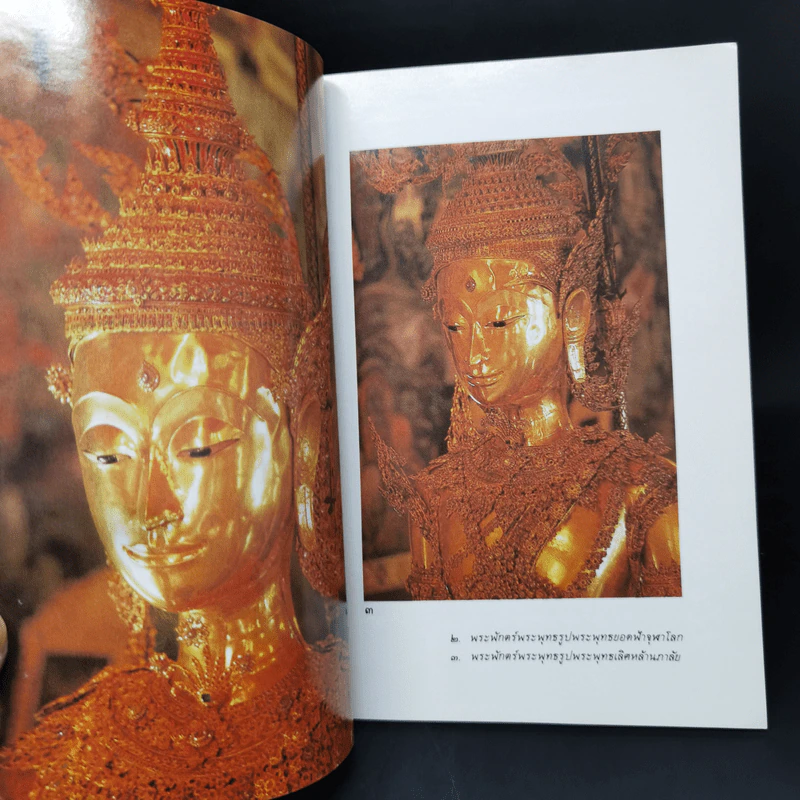 ประวัติวัดพระศรีรัตนศาสดาราม - ศาสตราจารย์ ม.จ.สุภัทรดิศ ดิศกุล รูปที่ 9