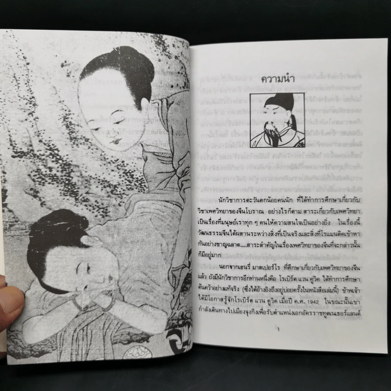 เต๋าแห่งรักและกามารมณ์ หนทางสู่ความหฤหรรษ์ของจีนโบราณ - โจลาน ชาง รูปที่ 12