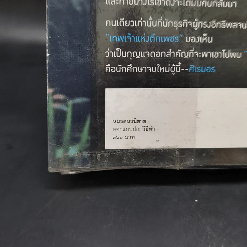 เพชรพราวใจ - ดวงตะวัน รูปที่ 12