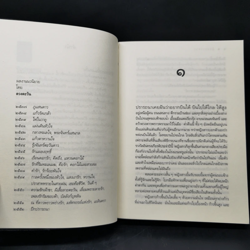 ปีกปรารถนา - ดวงตะวัน รูปที่ 9
