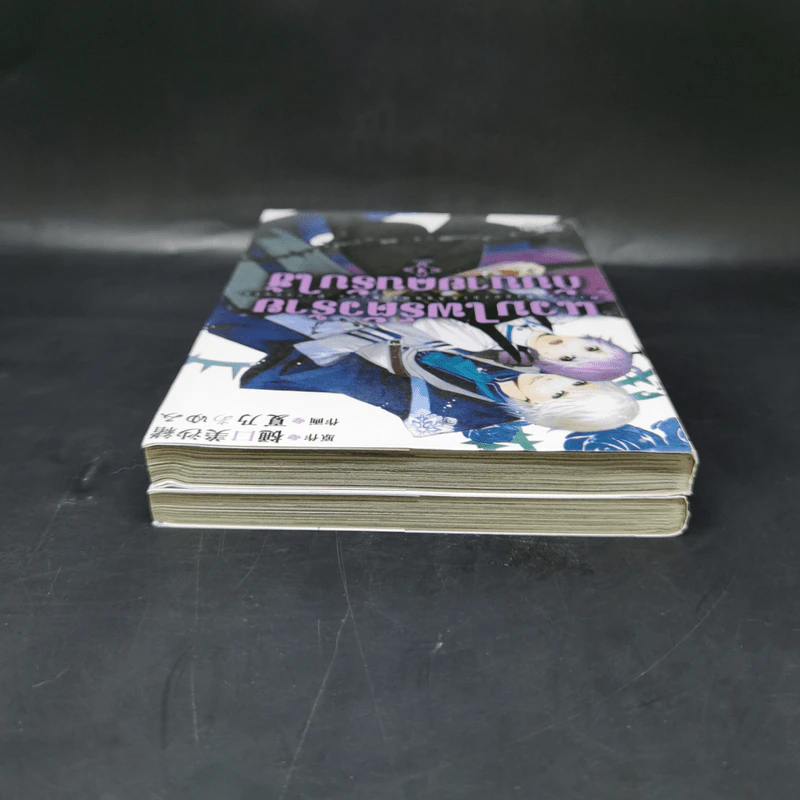 การ์ตูนวาย แวมไพร์ตัวร้ายกับนายคนรับใช้ 2 เล่มจบ รูปที่ 6