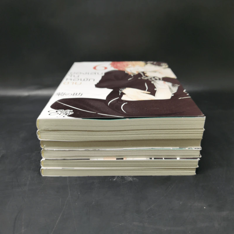 การ์ตูนวาย ของเล่นในหอพักชาย เล่ม 1-6 รูปที่ 2