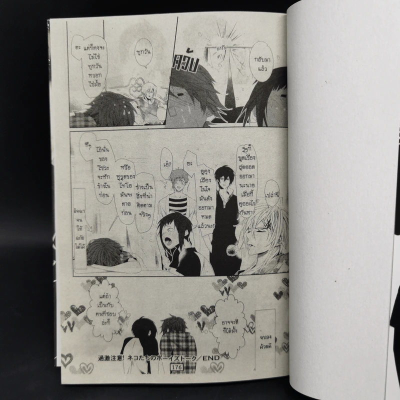 การ์ตูนวาย ของเล่นในหอพักชาย เล่ม 1-6 รูปที่ 9