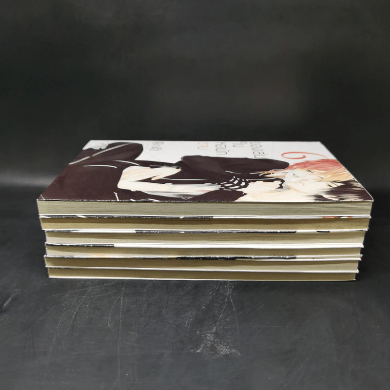 การ์ตูนวาย ของเล่นในหอพักชาย เล่ม 1-6 รูปที่ 3