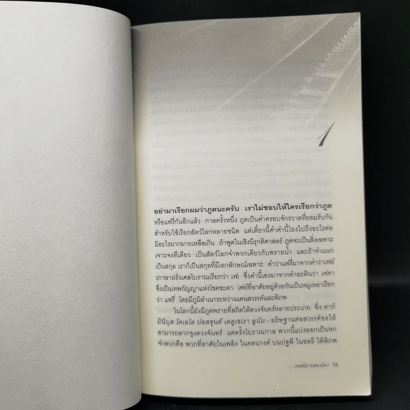 เทพนิยายสองโลก The Stolen Child - Keith Donohue รูปที่ 10
