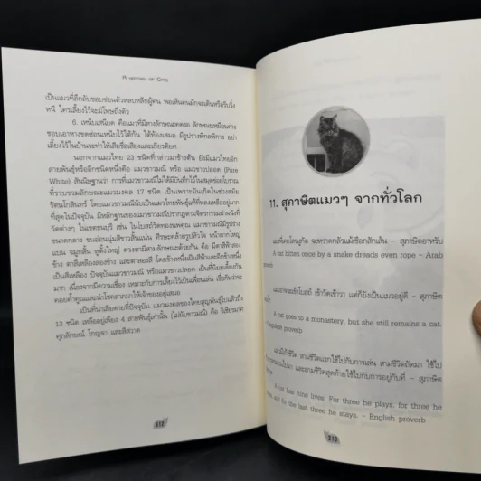 ประวัติศาสตร์แมว - ชาครีย์นรทิพย์ เสวิกุล รูปที่ 13