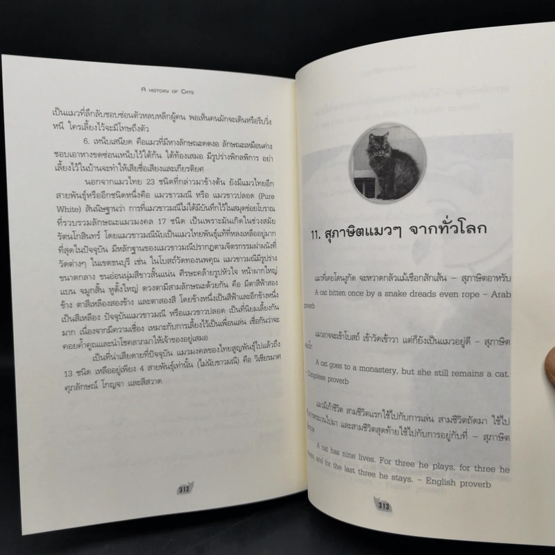 ประวัติศาสตร์แมว - ชาครีย์นรทิพย์ เสวิกุล รูปที่ 13