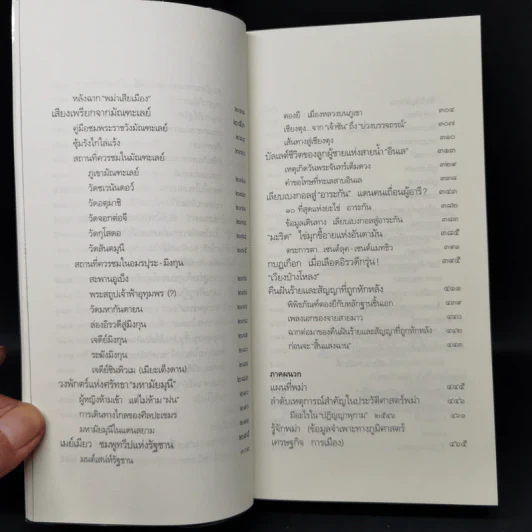 ท่องแดนเจดีย์ไพรในพุกามประเทศ - ธีรภาพ โลหิตกุล รูปที่ 11