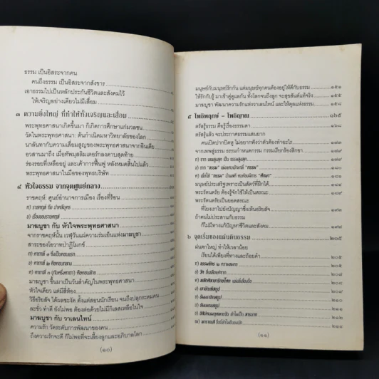 จาริกบุญ จารึกธรรม - พระพรหมคุณากรณ์ (ป.อ.ปยุตโต) รูปที่ 10