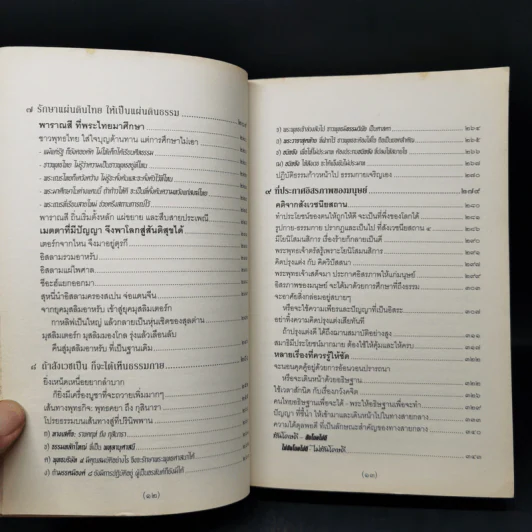 จาริกบุญ จารึกธรรม - พระพรหมคุณากรณ์ (ป.อ.ปยุตโต) รูปที่ 11