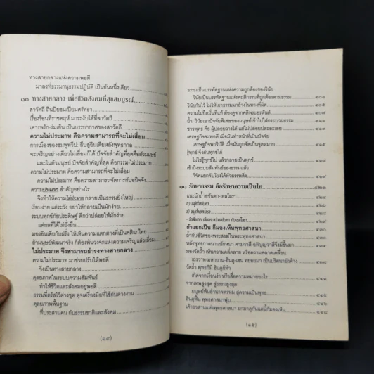 จาริกบุญ จารึกธรรม - พระพรหมคุณากรณ์ (ป.อ.ปยุตโต) รูปที่ 12