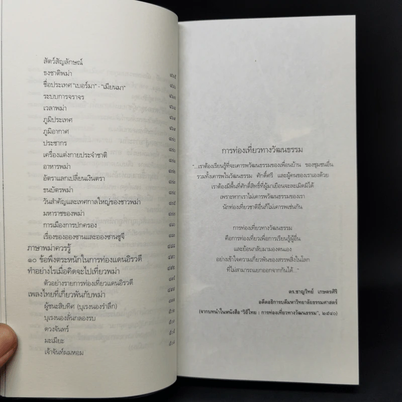 ท่องแดนเจดีย์ไพรในพุกามประเทศ - ธีรภาพ โลหิตกุล รูปที่ 12