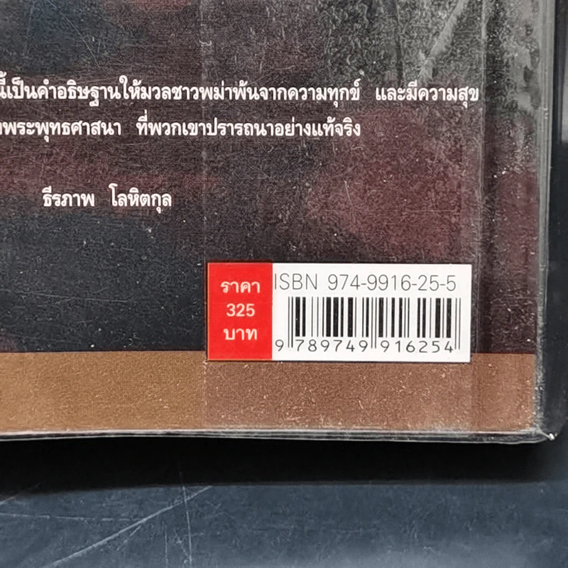 ท่องแดนเจดีย์ไพรในพุกามประเทศ - ธีรภาพ โลหิตกุล รูปที่ 15