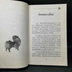 การเลี้ยงสุนัข ปอมเมอราเนี่ยน - บัณฑิตย์ สุริยพันธ์ รูปที่ 10