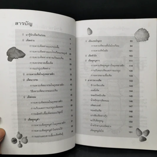 เพาะเห็ดขาย สร้างอาชีพใหม่ เพิ่มรายได้ - อดุลย์ รัตนมั่นเกษม รูปที่ 9