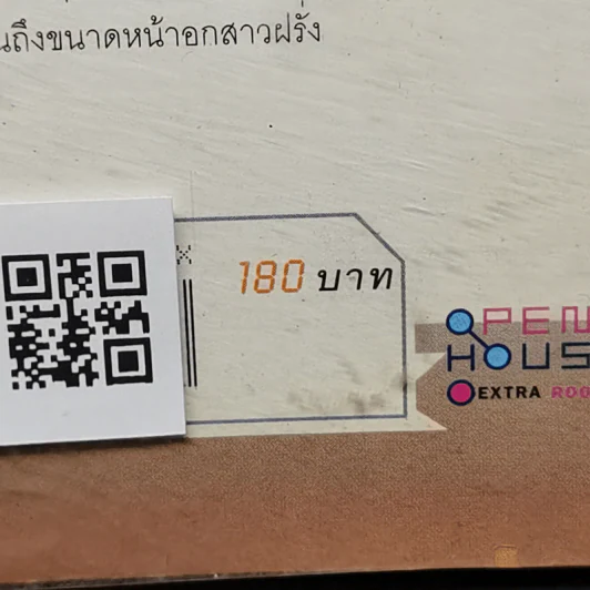 OPEN air Flight OA001 รูปที่ 12