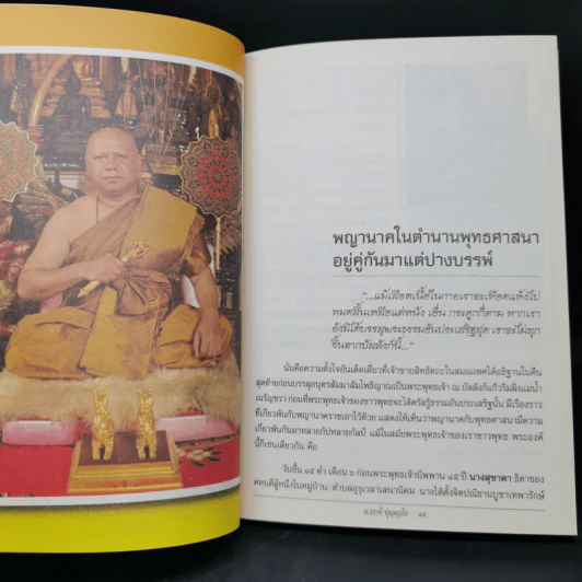 เมตตาจากบาดาล - พระครูวิศิษฏ์พิทยาคม (วราห์ ปุญญวโร) รูปที่ 11