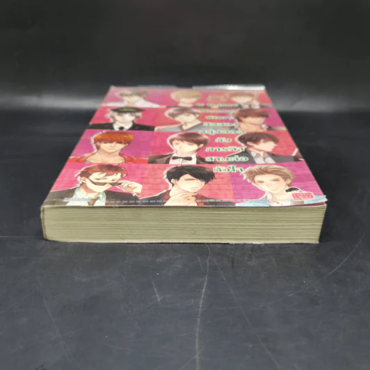 นิยายแจ่มใส U-Prince Memory Story สิบสองหนุ่มฮอตกับภารกิจสานต่อหัวใจ รูปที่ 4