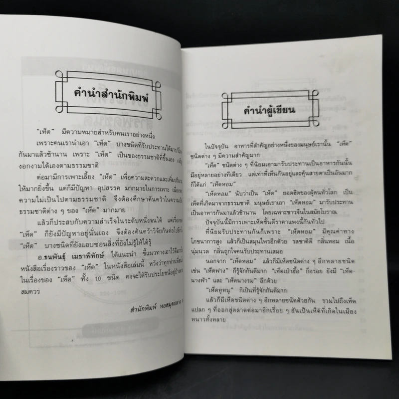 เพาะเห็ดสารพัดชนิด - อ.ธนพันธุ์  เมธาพิทักษ์ รูปที่ 9