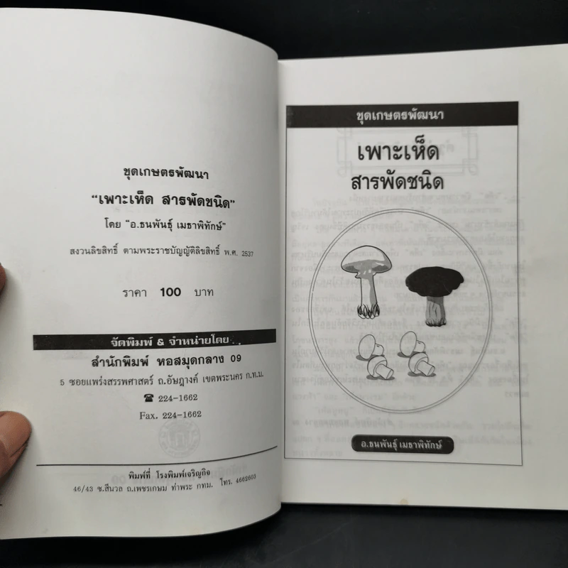 เพาะเห็ดสารพัดชนิด - อ.ธนพันธุ์  เมธาพิทักษ์ รูปที่ 8