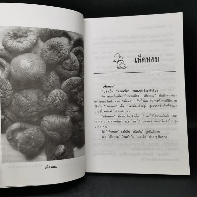 เพาะเห็ดสารพัดชนิด - อ.ธนพันธุ์  เมธาพิทักษ์ รูปที่ 12