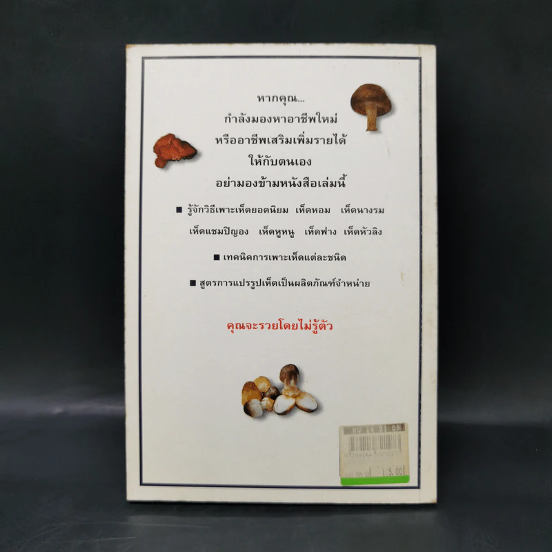 เพาะเห็ดขาย สร้างอาชีพใหม่ เพิ่มรายได้ - อดุลย์ รัตนมั่นเกษม รูปที่ 2