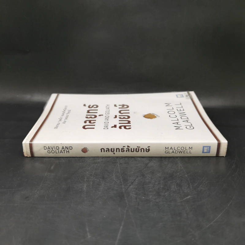 กลยุทธ์ล้มยักษ์ David and Goliath - Malcolm Gladwell รูปที่ 3