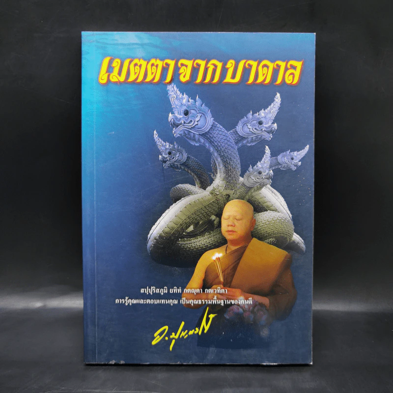 เมตตาจากบาดาล - พระครูวิศิษฏ์พิทยาคม (วราห์ ปุญญวโร) รูปที่ 1