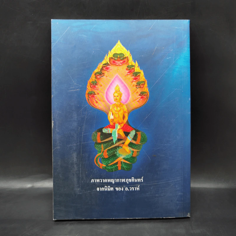 เมตตาจากบาดาล - พระครูวิศิษฏ์พิทยาคม (วราห์ ปุญญวโร) รูปที่ 2