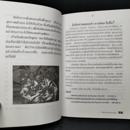 กินเป็น ลืมป่วย ล้างสารพิษในร่างกาย - อ.สุทธิวัสส์ คำภา รูปที่ 11