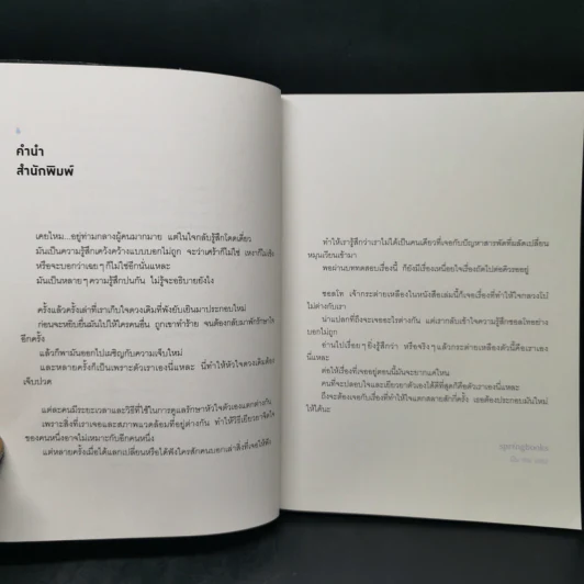 อย่าให้ใจเราเจ็บ DON'T GET MY HEART HURT - ซอลเลดา (Seolleda) รูปที่ 12