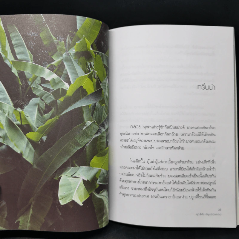 กล้วย สุดยอดอาหารโภชนาการ - สุทธิชัย ปทุมล่องทอง รูปที่ 11