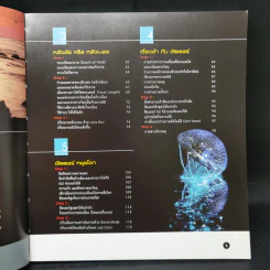 3 Steps Photography สรรค์สร้างภาพสวยใน 3 ขั้นตอน รูปที่ 11