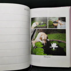 ในร่มเงาวังสระปทุม - สิรินธร รูปที่ 12