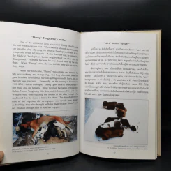 เรื่องทองแดง The Story of Tongdaeng รูปที่ 13