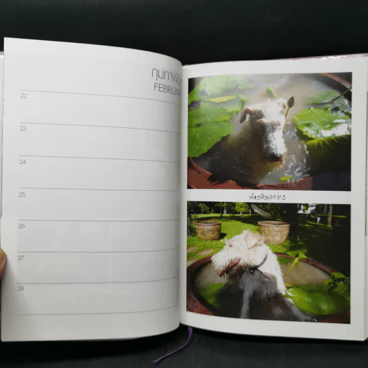 ในร่มเงาวังสระปทุม - สิรินธร รูปที่ 11