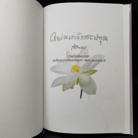 ในร่มเงาวังสระปทุม - สิรินธร รูปที่ 8