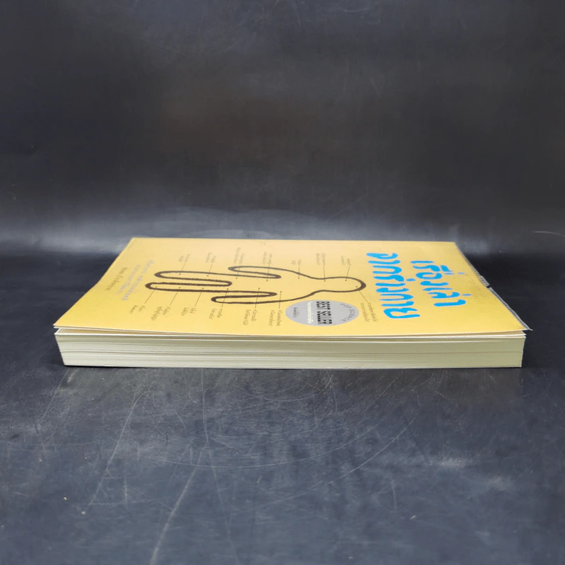 เรื่องเล่าจากร่างกาย เล่ม 1 - ชัชพล เกียรติขจรธาดา รูปที่ 5